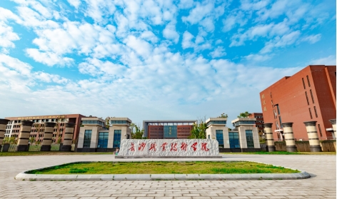 长沙职业技术学院.png
